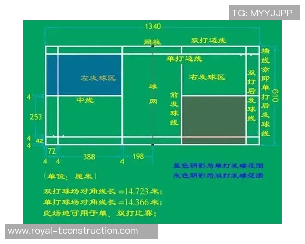 重庆排球队个人能力深度对比分析与发展潜力探讨